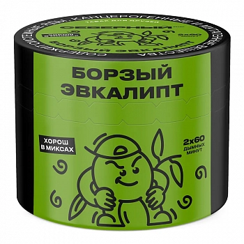 Табак Ветер Северный, 40гр "Борзый Эвкалипт"